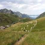 gardetta