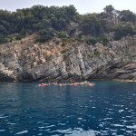 gallinara1